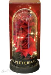 Рози в стъкленица, светеща, 22см.