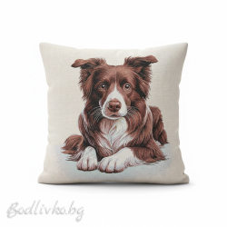 КАЛЪФКА за възглавничка, КУЧЕ КОЛИ,  45/45см.