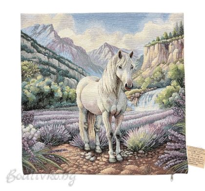 КАЛЪФКА за възглавничка, КОНЧЕ, размер: 45/45см.