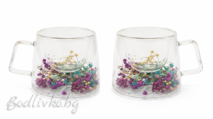 Комплект 2 броя стъклени чаши за кафе, двойно стъко, сухи истински цветя  