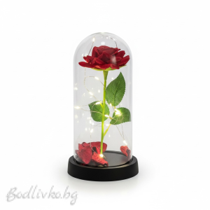 Роза в стъкленица, светеща, 22см.