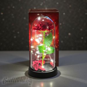 Роза в стъкленица, светеща, 22см.